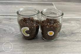 do seeds need light to germinate