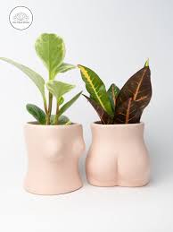 ceramic planter plant pot