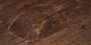 can you epoxy wood floors epoxy wood