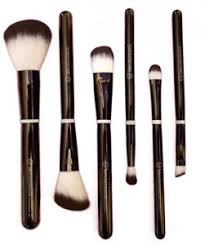 beauticontrol 6 pieces cosmetic brush