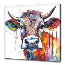 Colourful Highland Scottish Cattle Cow