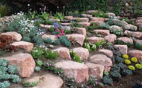 Building a garden rockery or a rock garden is a lovely way to add some interest to your outdoor space. How To Build And Plant An Alpine Rock Garden Rock Garden Landscaping Rock Garden Rockery Garden