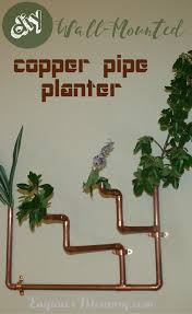 Diy Wall Mounted Copper Pipe Planter