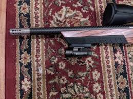 stock ruger 10 22 to custom