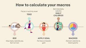 the formula to calculate your macros