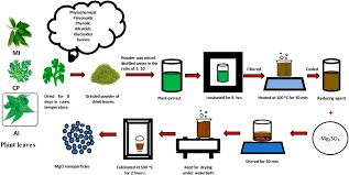 Green Synthesis Of Mgo Nanoparticles