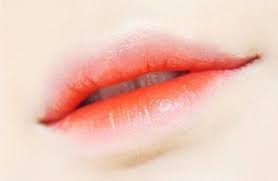 grant lip tutorial korean beauty