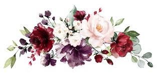 burgundy flowers watercolor images