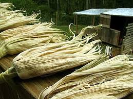 Drying husks - Remove the husks from your summer corn in one piece and hang  to dry. In the fall you can tuck them i… | Corn husk crafts, Corn husk, Corn