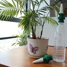 Watering schedules for plants in containers will be different from those for plants in the ground. 12pcs Plant Water Dripper Dispenser Garden Automatic Water Flow Drip Irrigation Watering System Kit Buy On Zoodmall 12pcs Plant Water Dripper Dispenser Garden Automatic Water Flow Drip Irrigation Watering System Kit Best