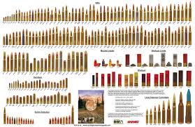 Ammo Comparison Chart Showing Over A Hundred Different