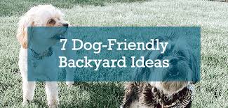 How To Make A Dog Friendly Backyard