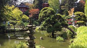 anese tea garden in golden gate park