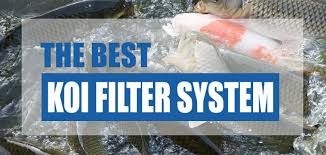 the best koi pond filter system 2023