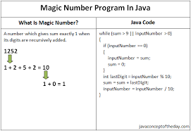 magic number program in java