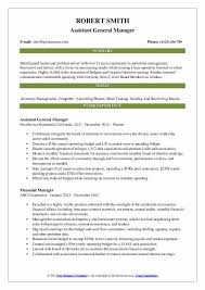 Now, take a look at these two samples. Assistant General Manager Resume Samples Qwikresume