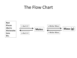 The Mole The Mole The Mole Memorize This Number 1 Mol