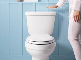 Kohler Kit Lets You Flush Your Toilet