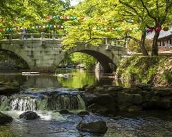 전북 고창 선운산도립공원 풍경, AI로 생성