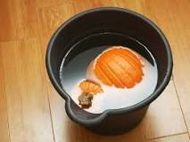 How do you keep a pumpkin from molding?