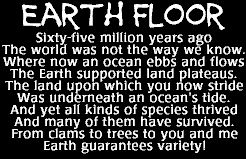 earth floor