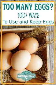 Use the last egg in the carton to make yourself breakfast, dinner, dessert, or even just a snack. What To Do With An Abundance Of Eggs 100 Egg Heavy Recipes Chickens Backyard Holistic Recipes Eggs