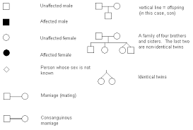 Sickle Cell Pedigree Science2max