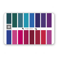 color palette plastic card for winter type