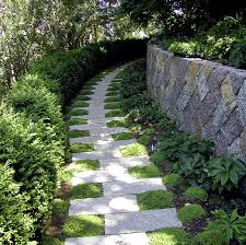 Ground Covers To Go With Your Pavers