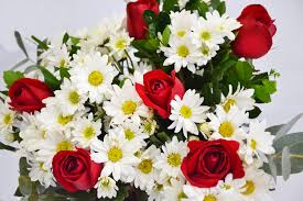 Buque com flores do campo branca com 6 rosas vermelhas | Reverência Flores  Presenteie Quem Você Ama