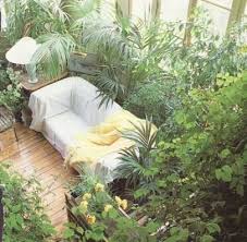 indoor plants indoor garden
