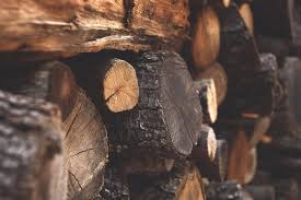 Best Wood To Burn In Your Fireplace