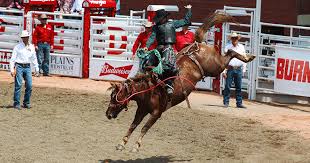 Calgary Stampede Schedule 2019 July 5 14 Rodeo Concerts