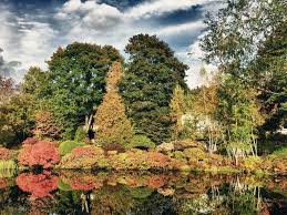 Beautiful Lake And Colourful Trees Of