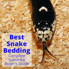 best snake bedding complete substrate