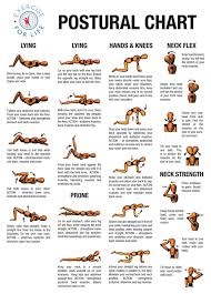 Lower Back Exercises Health And Fitness Training