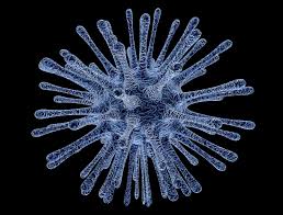 Image result for IMAGE OF China Virus: 