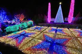 winter lights at nc arboretum photo tour