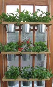 Shelf And Pots Kitchen Herb Garden