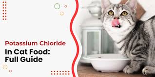 potium chloride in cat food the