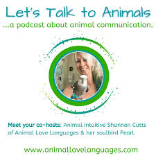 Let's Talk to Animals