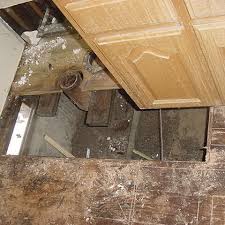 dry rot and termite damage repair