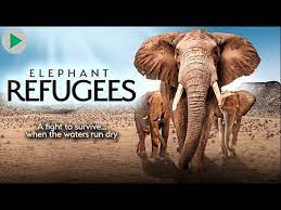 elephant refugees where elephants rule