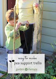 Making A Pea Trellis With Kids