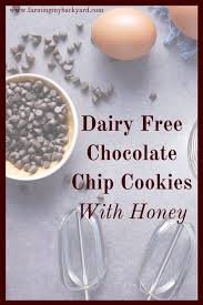 dairy free chocolate chip cookies with