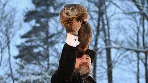 Groundhog Day In Canada gambar png