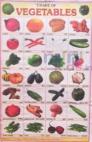 Vegetables Chart 28 Photos Chart Number 95 Minikids In