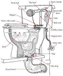 toilet troubles call 619 507 4394