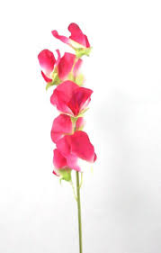 There are 1649 single stem floral for sale on etsy, and they cost $10.74 on average. Artificial Silk Sweet Peas Single Stem Just Artificial