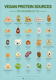 Vegan Protein Poster English Cute Characters Show You